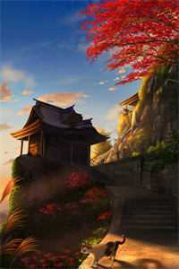 十年婚姻，九死一生全文+后续
