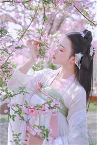 星河归零时